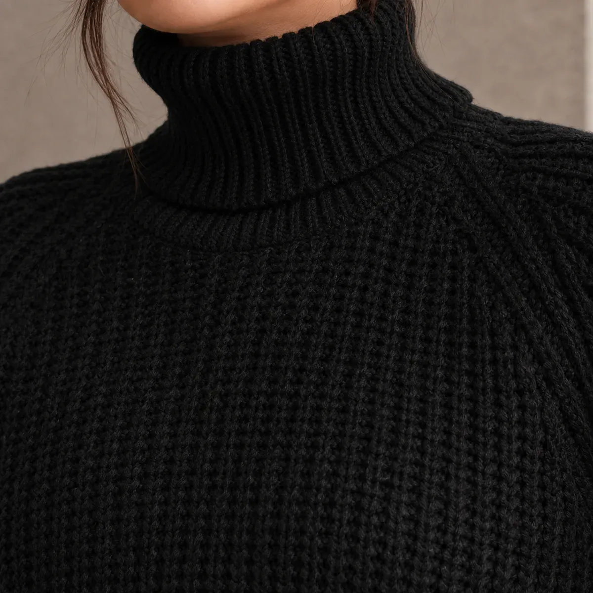 Hyacinth-Faye Ribbed Turtleneck Sweater — detail